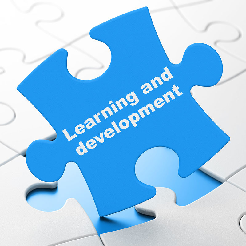 5-learning-and-development-strategy-examples