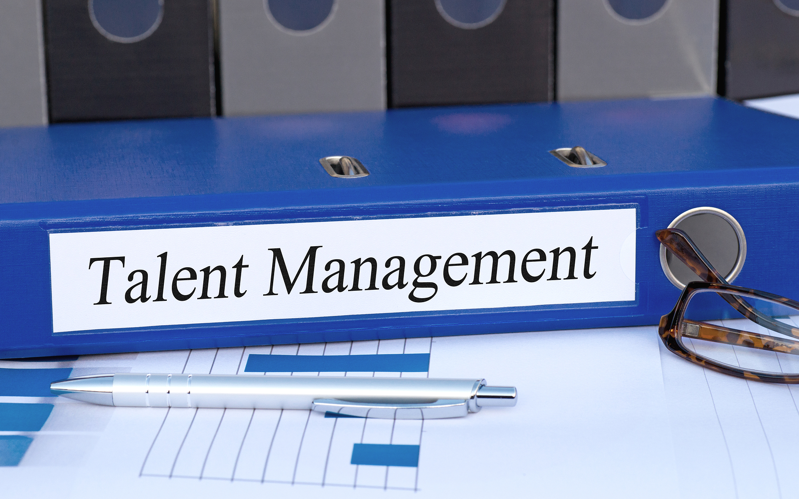 understanding-the-talent-management-process