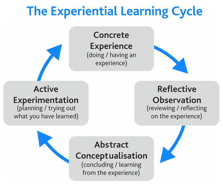 What Are KOLB s Learning Styles And What Do They Mean Skillshub