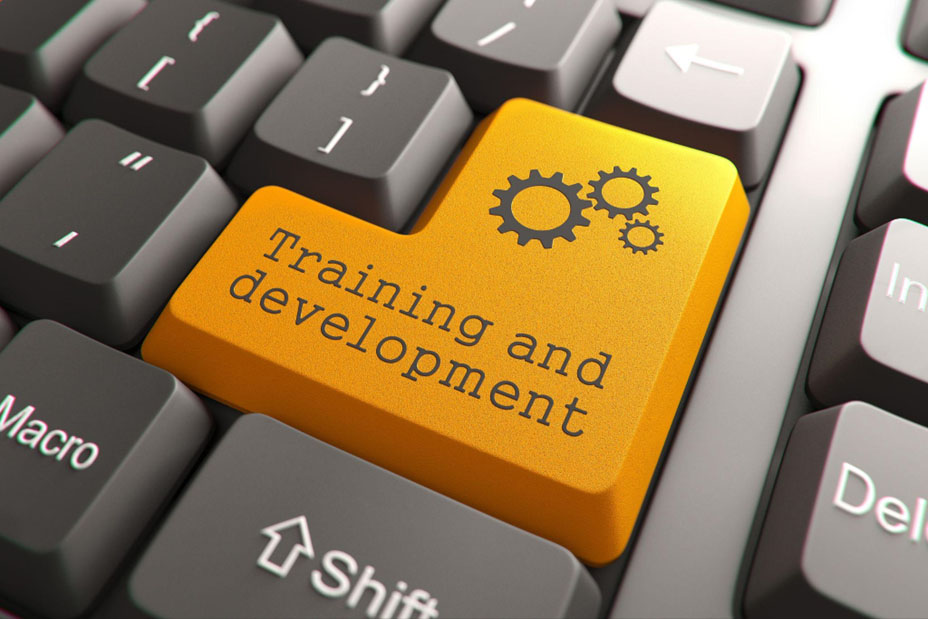 training-development